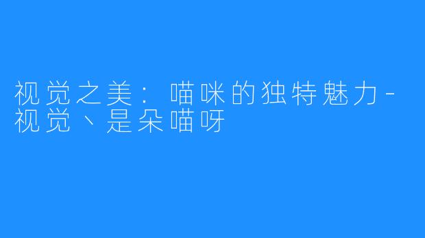 视觉之美：喵咪的独特魅力-视觉丶是朵喵呀