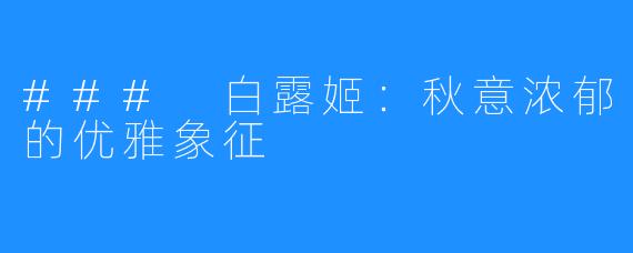 ### 白露姬：秋意浓郁的优雅象征